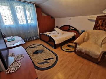 Фото номера Двухместный номер с 1 кроватью и видом на горы Гостевой дом Casa Firuta г. Борша 2