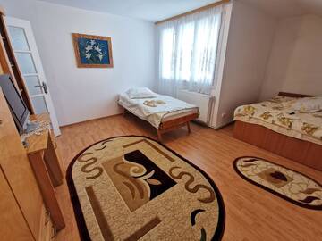 Фото номера Трехместный номер с общей ванной комнатой Гостевой дом Casa Firuta г. Борша 4