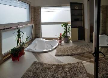 Фото номера Вилла Виллы Vila Bijou г. Борша 18