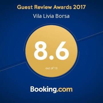Фото номера Двухместный номер с 1 кроватью Лоджи Vila Livia Borsa г. Борша 20